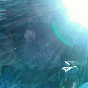 Meet your Posher, Dennis